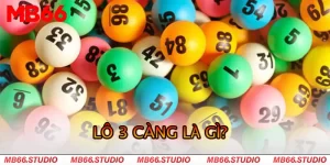 lo-3-cang-la-gi