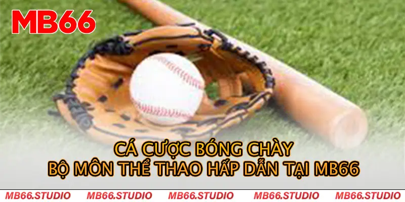 anh-dai-dien-ca-cuoc-bong-chay