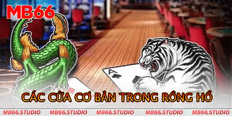 Các cửa cơ bản trong Rồng hổ