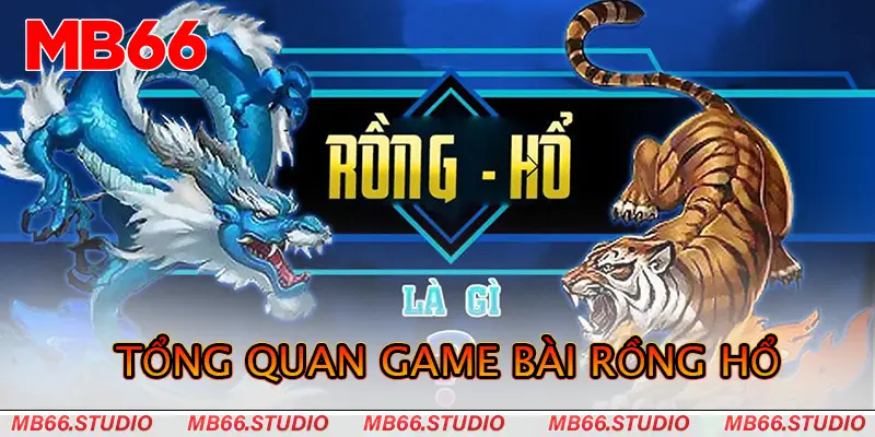 Tổng quan game bài Rồng hổ