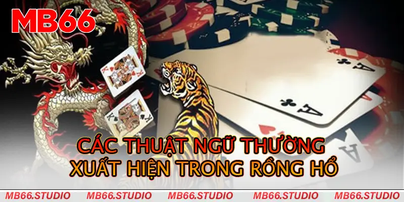 Các thuật ngữ thường xuất hiện trong Rồng hổ