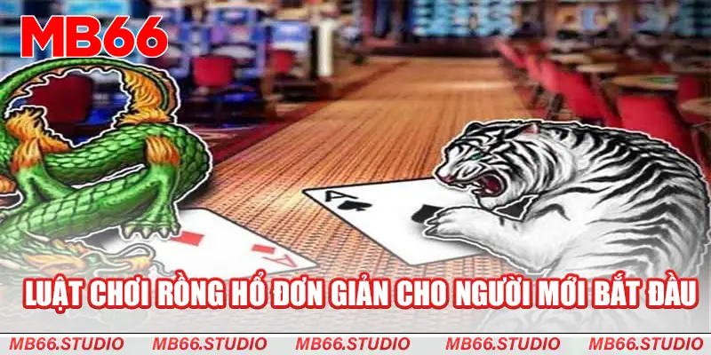 Luật chơi rồng hổ đơn giản cho người mới bắt đầu 