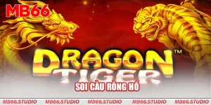 Soi cầu rồng hổ