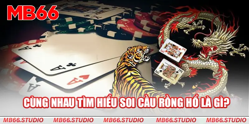 Cùng nhau tìm hiểu soi cầu rồng hổ là gì?