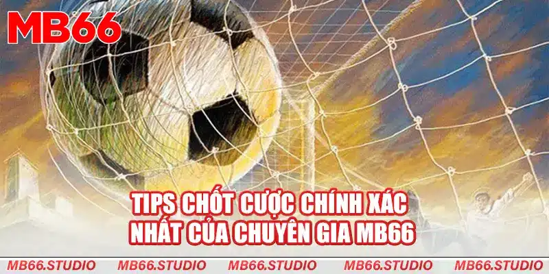 Tips chốt cược chính xác nhất của chuyên gia MB66